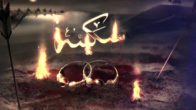 Tera Seena Nai Labhda , Baba Mein Rul Gai Haan MIr Hassan Mir new noha 2014-15