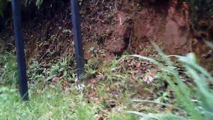 MTB, Trilha dos Óculos Amarelos, Sasselos Team, Rio Piracuama, Taubaté, Tremembé, Pindamonhangaba, Marcelo Ambrogi, (114)