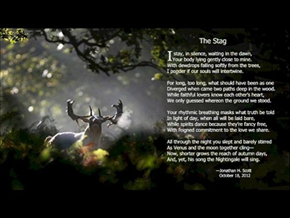 Jonathan H. Scott - THE STAG