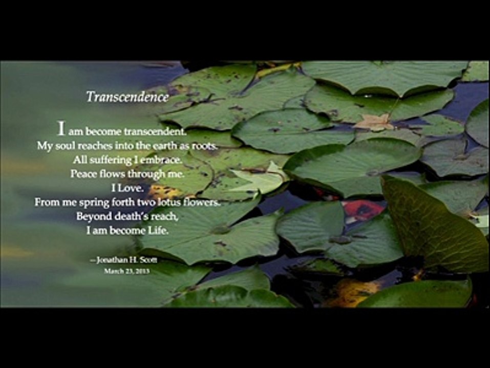 Jonathan H. Scott - TRANSCENDENCE