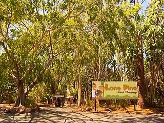 Лидеры G20 будут обниматься с коалами Брисбена