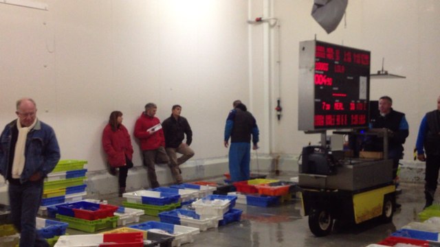 Visite à la criée de Concarneau