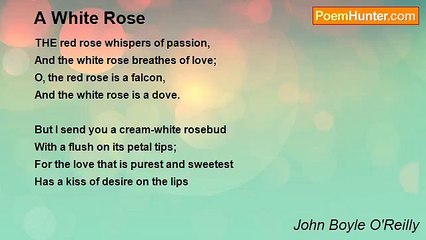 John Boyle O'Reilly - A White Rose