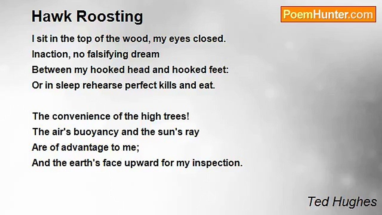 Ted Hughes - Hawk Roosting