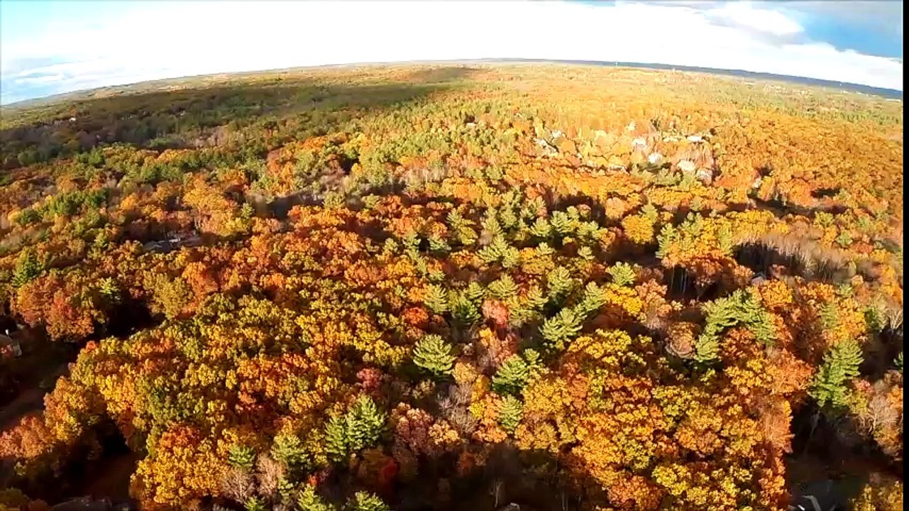 Fall by Howard Davidson Arlington Massachusetts