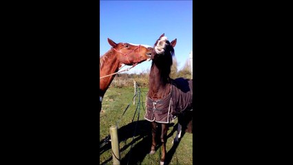 05.11.2014.zc.gege.amour