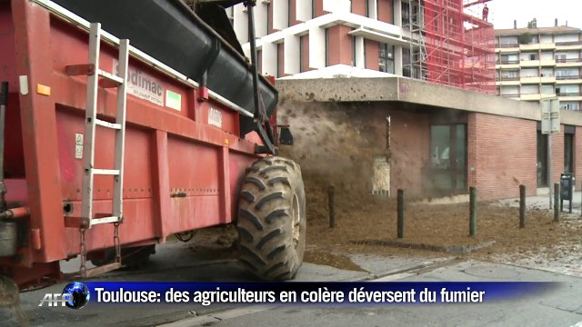 Réforme des nitrates: les agriculteurs déversent du fumier