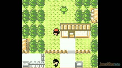 Gaming live Pokémon Version Or - 1/3 : Une histoire de genre G.BOY