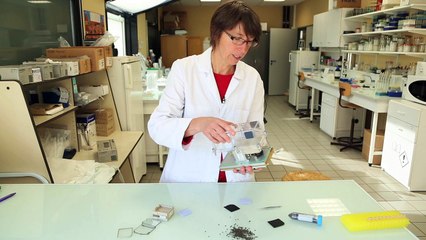 In-situ : graines de star à bord de l'ISS