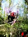 Tree Parkour Gone Bad - Fails World