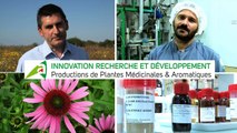 Innovation recherche et développment - Production de Plantes Médicinales et Aromatique