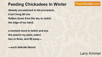 Larry Kimmel - Feeding Chickadees In Winter