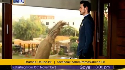 Goya Promo 2 Upcoming Drama on Ary Digital