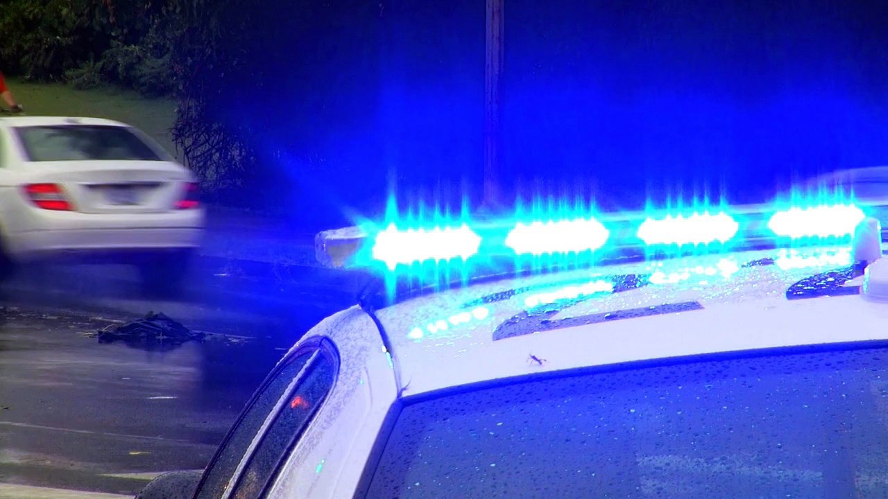 A School Security Officer : What Makes A Good One? by James Puckett