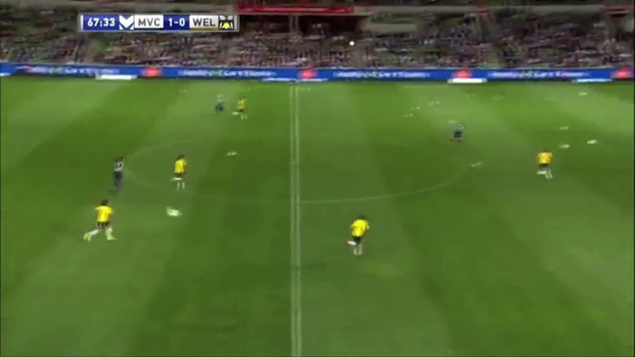 Des mouettes s'invitent à un match de foot