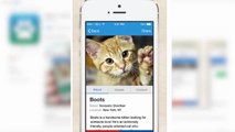 'Tinder for Pets' Adoption App Helps You Meet Your New Best Friend