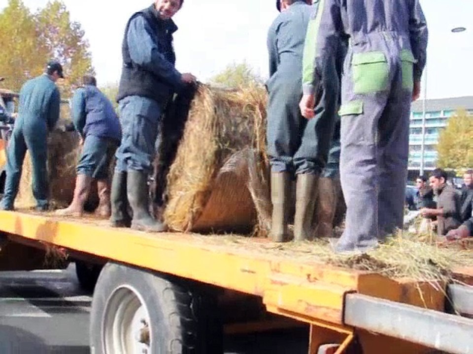 600 agriculteurs manifestent à Périgueux