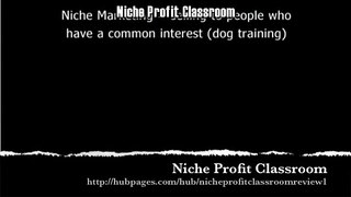 Niche Profit Classroom Review