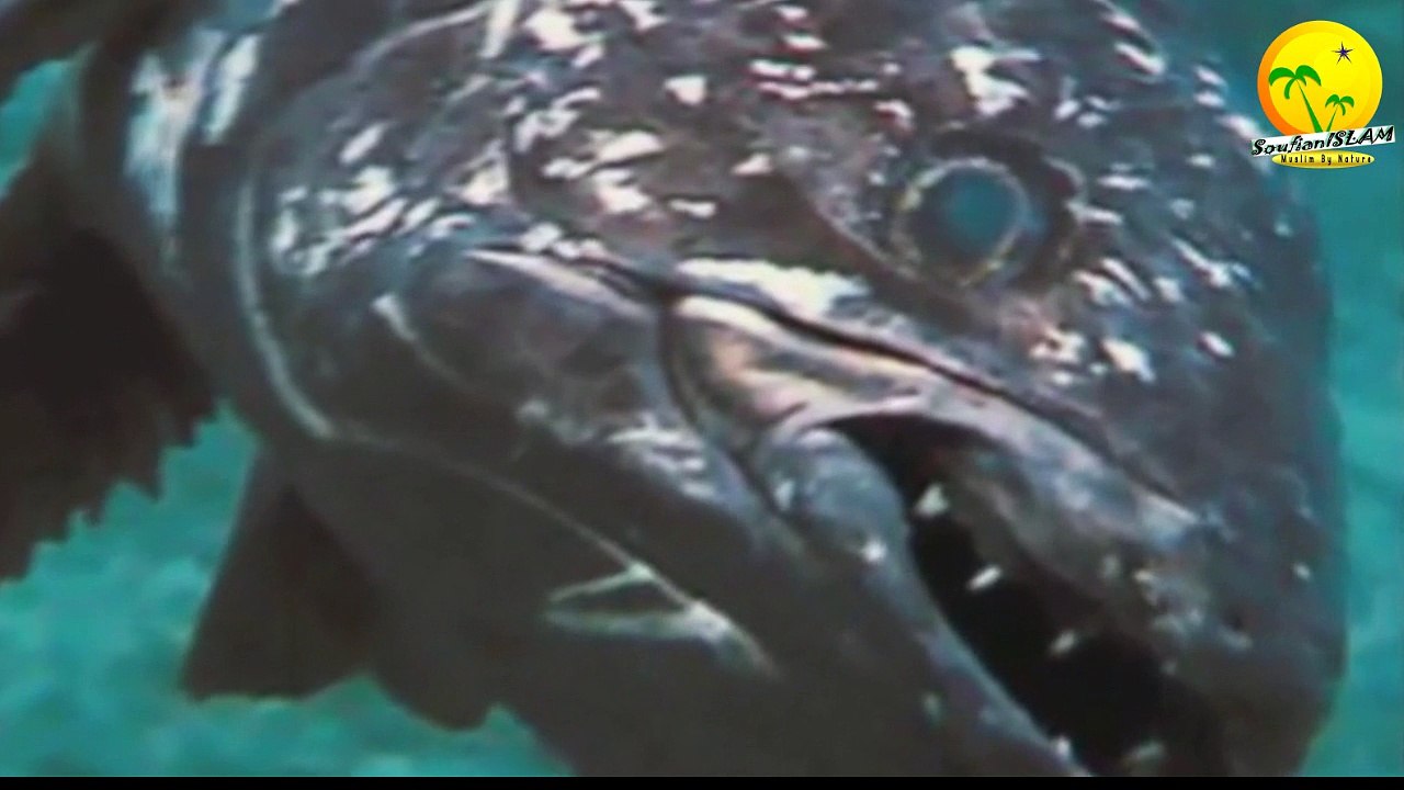 Le poison: l'arrière grand-père des athées & evolutionnistes. Rigoler avec Dawkins