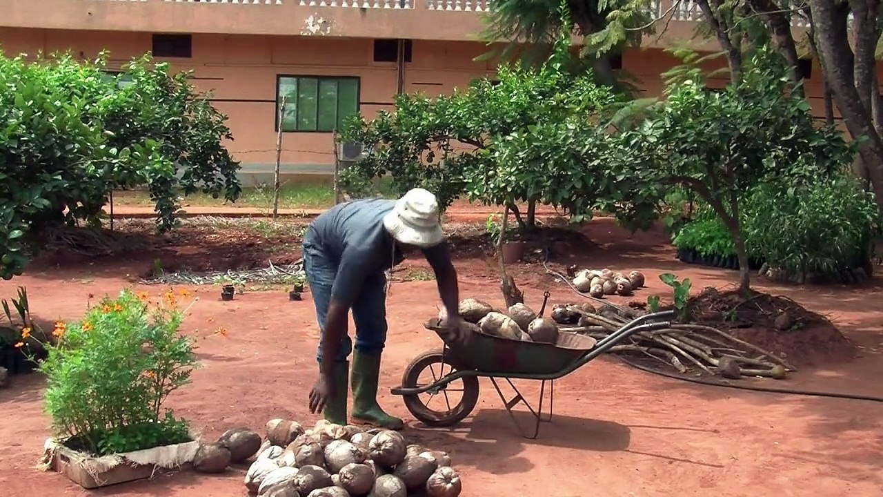 Bio-Anbau gegen Armut in Afrika