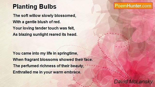 David McLansky - Planting Bulbs
