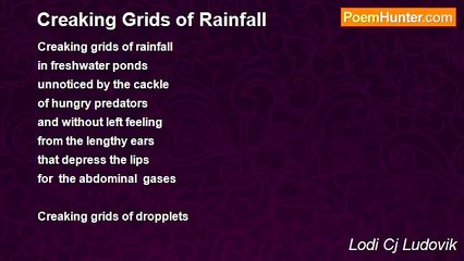 Lodi Cj Ludovik - Creaking Grids of Rainfall