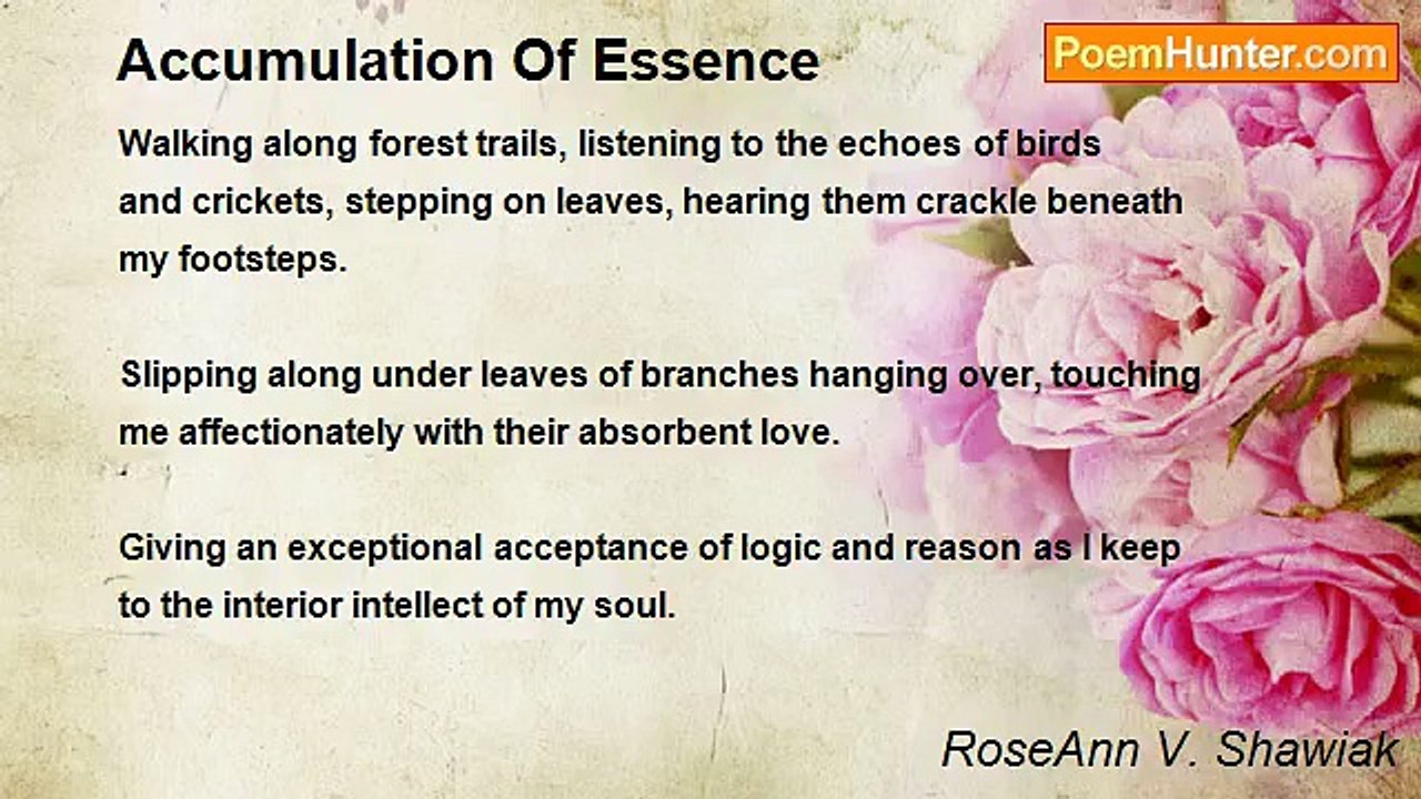 RoseAnn V. Shawiak - Accumulation Of Essence