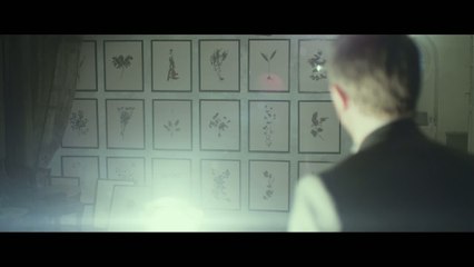 Millenium : Les Hommes qui n'aimaient pas les femmes VF - Ext