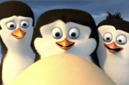 Bande-annonce : Les Pingouins de Madagascar - VO (3)