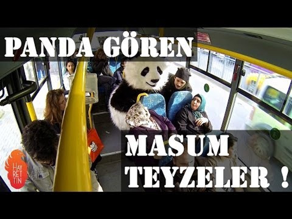 Panda gören masum teyzeler !