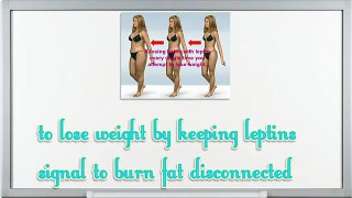 The Venus Factor Tips On How To Increase Leptin THe Feel Full Hormone Venus Factor Diet
