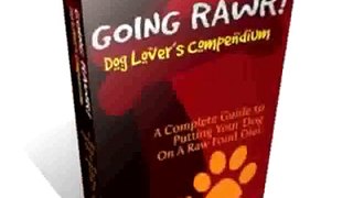 Delicious Dog Diet Review