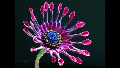 All Things Are Possible to Them That Believe by Annie Rix Militz