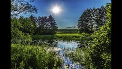 13 Secrets of Napoleon Hill