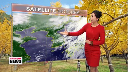 Milder days ahead with good amount of sun, cold morning tomorrow