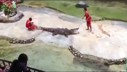 Eğitimcinin Yüzünü Parçalayan Timsah