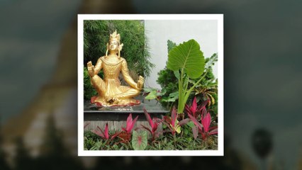 Yangon 2012 ヤンゴン、ミャンマー連邦
