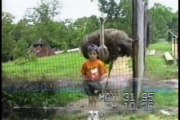☺ AFV Part 109 (NEW!) America's Funniest Home Videos 2012 (Funny Videos Montage Compilation)_youtube_original