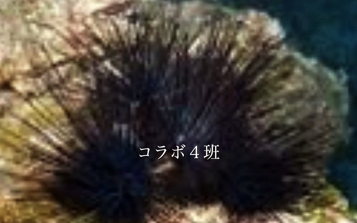 コラボ４班