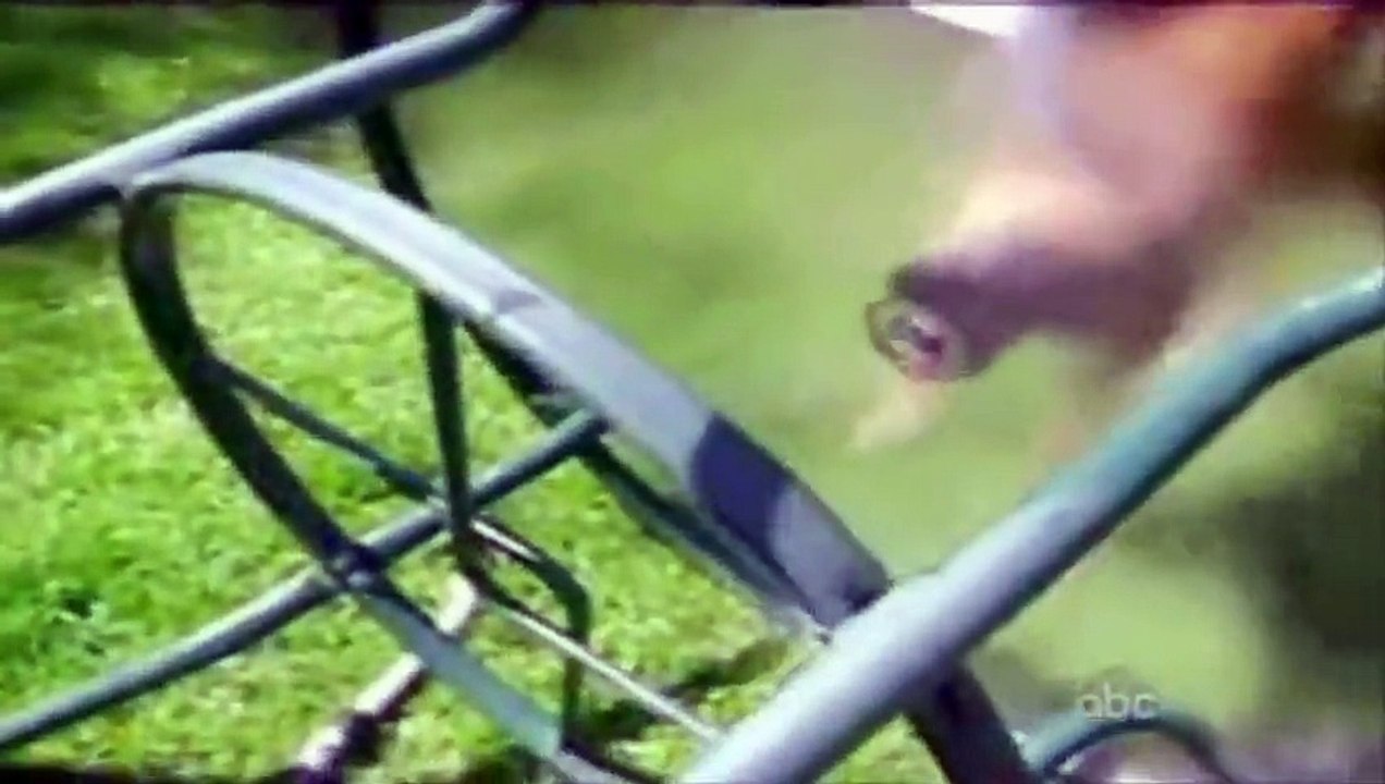 ☺ America's Funniest Home Videos Part 2 _ OrangeCabinet_youtube_original