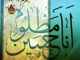 Umm-e-Laila s.a Sanmbhal Zainab s.a ko - Meer Hassan Meer