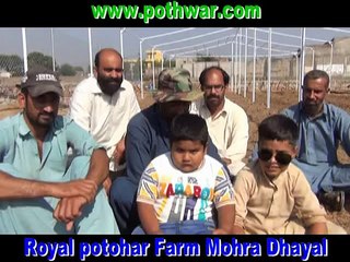 Mohra Dhayal Farm Overview - thumbnail