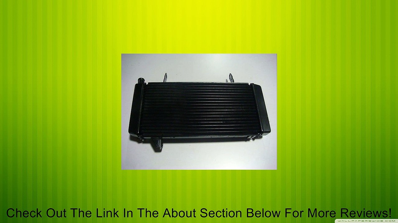 Suzuki SV650S Radiator 2005-2009 Review