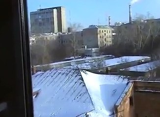 Quand un oiseau fait de la luge sur un toit