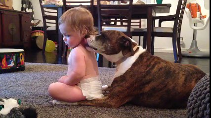 Touchant : L'amour entre un chien et un bébé