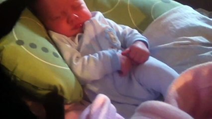 Mignon : Un chat prend soin d'un bébé