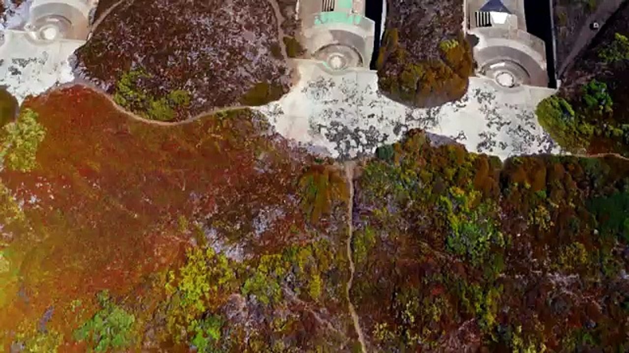 Drone Boning