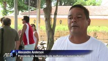 Mortandade de peixes preocupa moradores de Paquetá