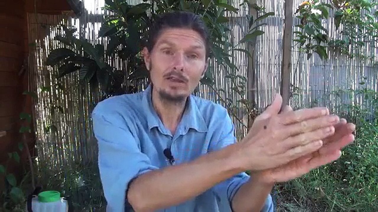 bienêtreaujus 30 minutes pour changer une vie-_-www.regenere.org