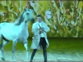 Spectacle équestre de Vincent Libérator à Equestria 2013